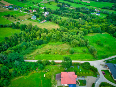 Działka Trzetrzewina