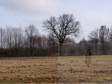 Działka rolna Jarzębowo