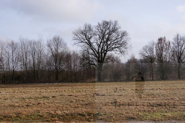 Działka rolna Jarzębowo