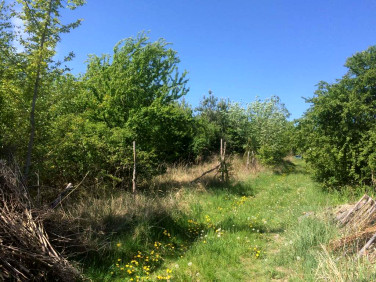 Działka budowlana Stare Czarnowo