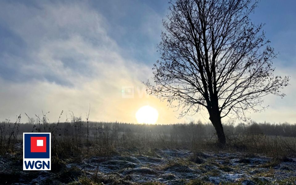 Działka Wojciechowice