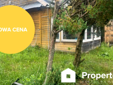 Dom Nowe Chojno sprzedaż