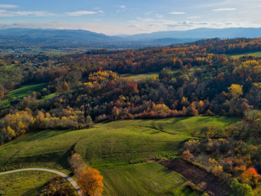 Działka Trzetrzewina
