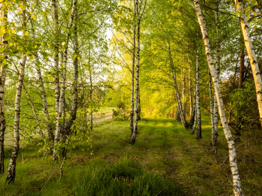 Działka rolna Szablak