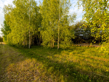 Zalesiona działka Szablak
