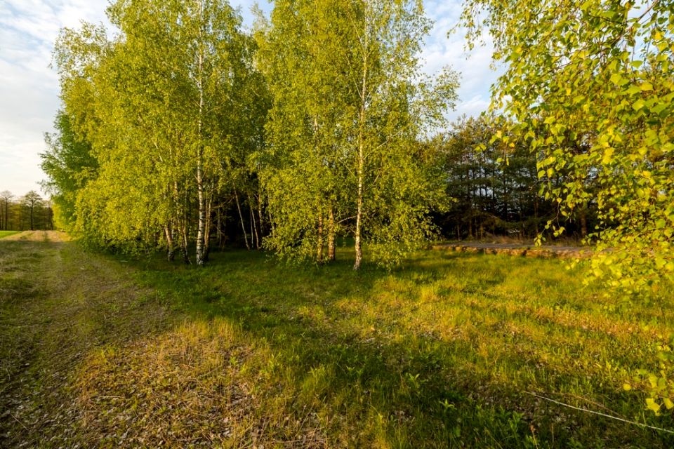 Zalesiona działka Szablak