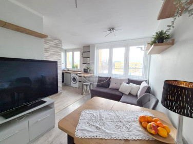 Mieszkanie apartamentowiec Wrocław