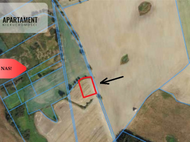 Działka przy lesie