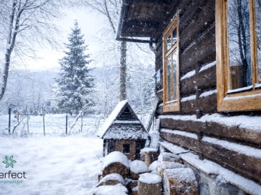 Dom Zakopane sprzedaż