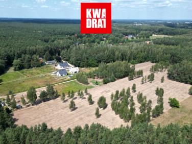 Działka leśna Księżak