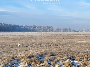 Działka Kotórz Mały