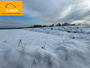 Działka budowlana Przybradz