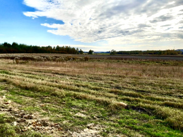 Pusta działka Górno