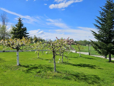 Działka budowlana Górki Wielkie
