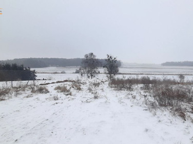 Działka budowlana Szczuczyn