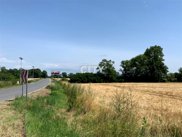 Działka Święta Katarzyna