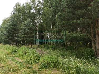 Działka budowlana Żelechów