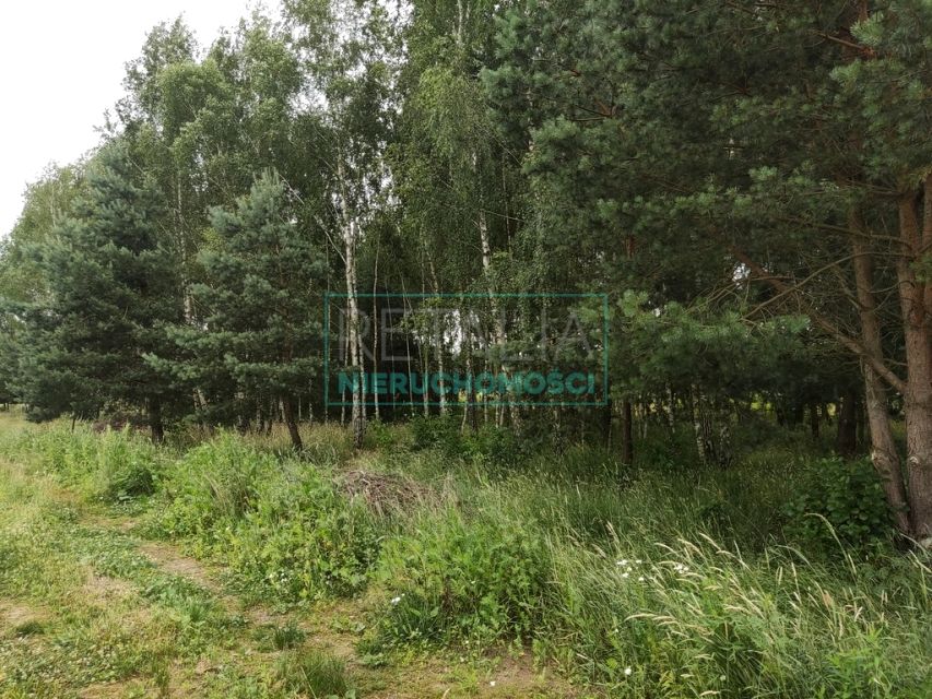 Działka budowlana Żelechów