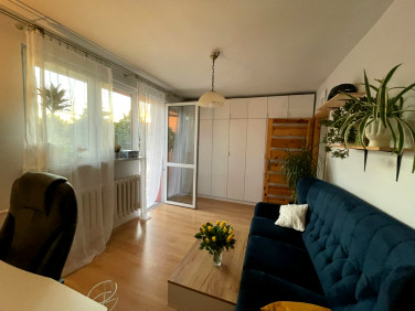 Mieszkanie Lewin Brzeski