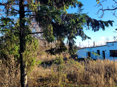 Ogrodzona działka sprzedam