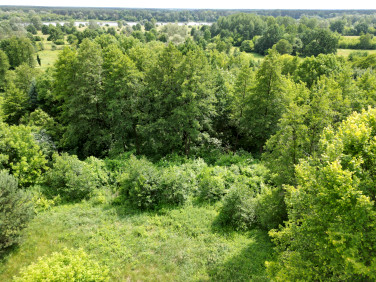 Działka siedliskowa Stare Orzechowo