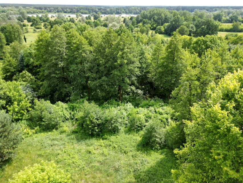 Działka siedliskowa Stare Orzechowo