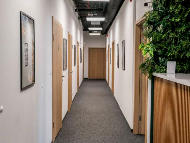 Lokal Warszawa wynajem