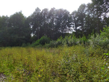 Działka budowlana sprzedam