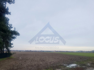 Działka rolna Lubiczów sprzedam