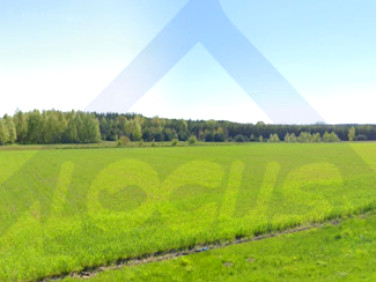 Działka inwestycyjna Ryki sprzedam