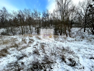 Działka budowlano-rolna Czepino