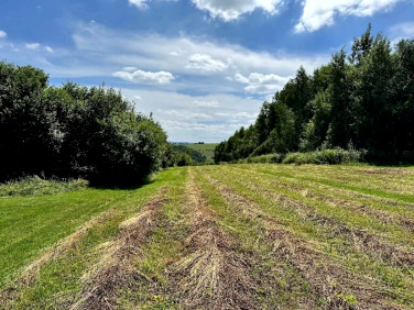 Pusta działka Polanka Hallera