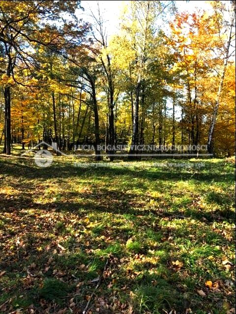 Działka budowlano-rolna Jaworze