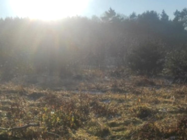 Działka budowlana Juszowice