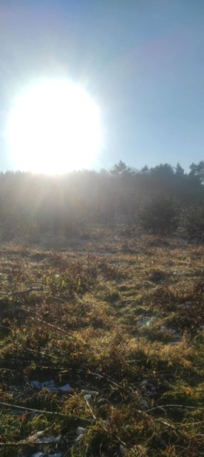 Działka budowlana Juszowice