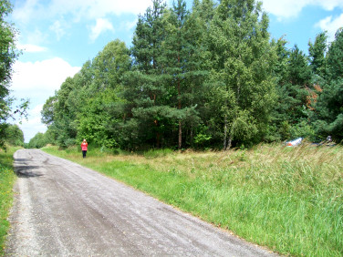 Działka leśna grodzisko