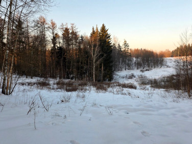 Działka budowlana Elbląg