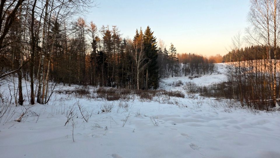 Działka budowlana Elbląg