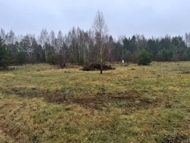 Działka budowlano-rolna Parcele Łomskie