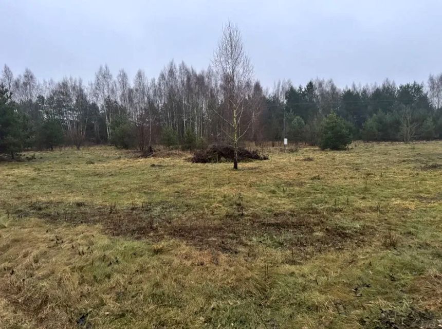 Działka budowlano-rolna Parcele Łomskie
