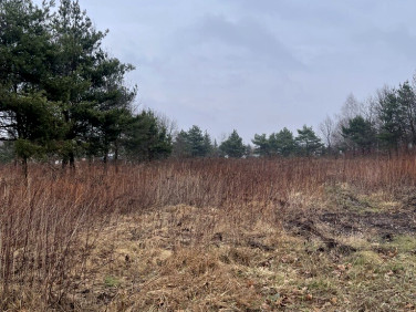 Działka nad jeziorem