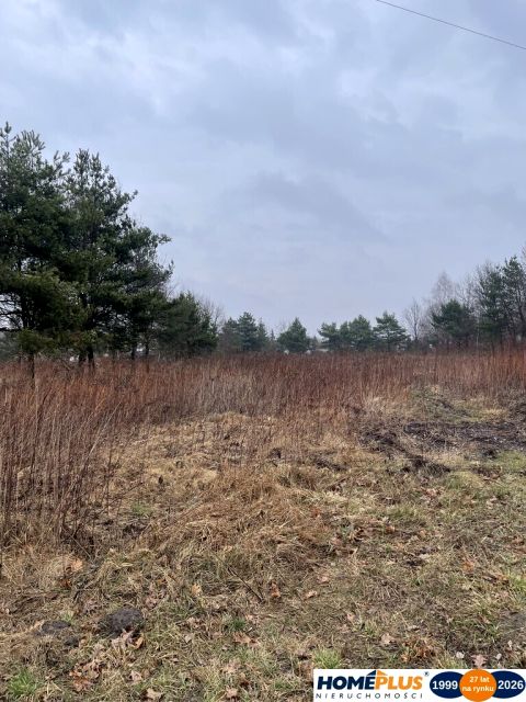 Działka nad jeziorem