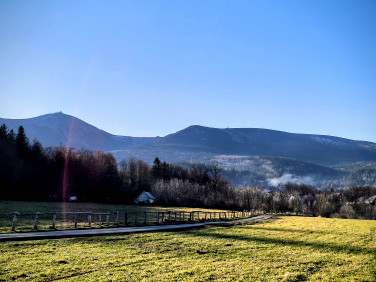 Działka budowlana Ściegny