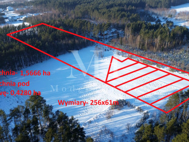 Działka budowlana Kuriany