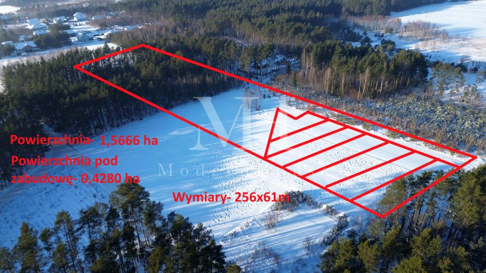 Działka budowlana Kuriany