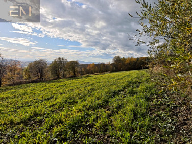 Działka budowlana Gogołów