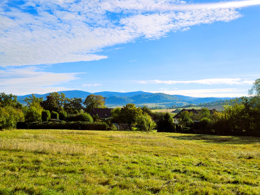 Działka Międzylesie