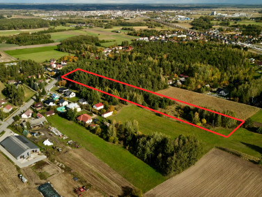 Zalesiona działka Łapy