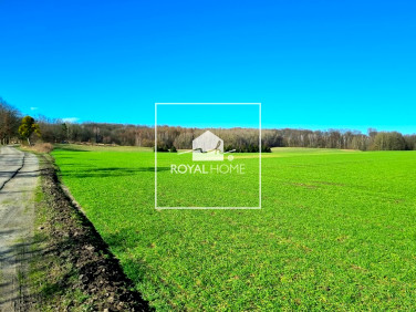 Działka rolna Kołowo