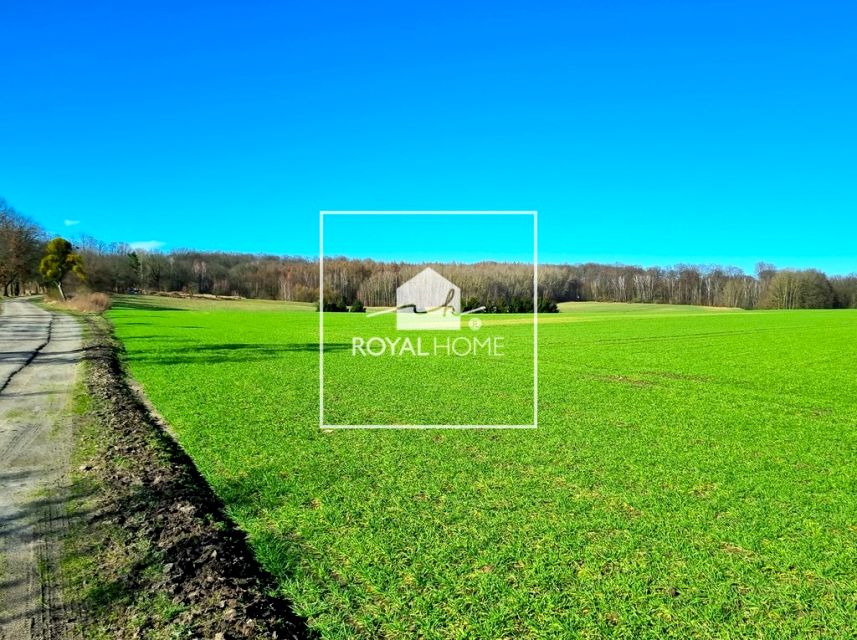 Działka rolna Kołowo